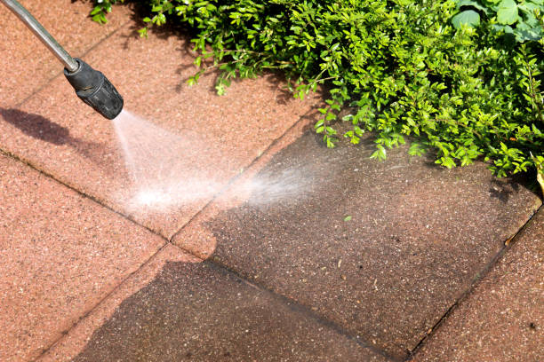 Professional  Pressure Washing in Topeka, IN